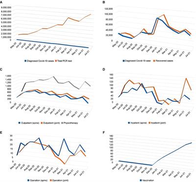 Impact of the Coronavirus Disease Pandemic and Related Vaccination in an Orthopedic Clinic in the United Arab Emirates: An Observational Study